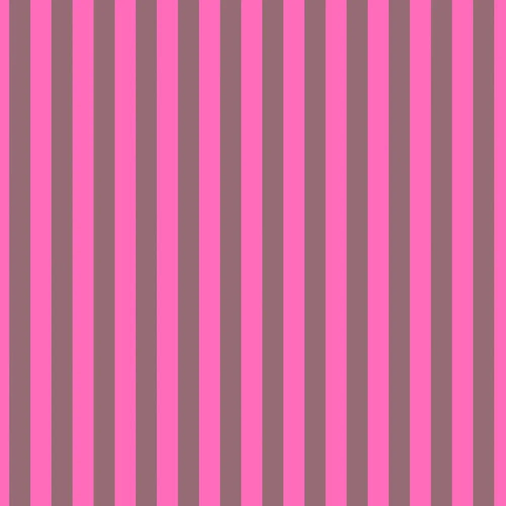 Tula Pink Neon True Colors Tented Stripes - Cosmic 1/2 yd