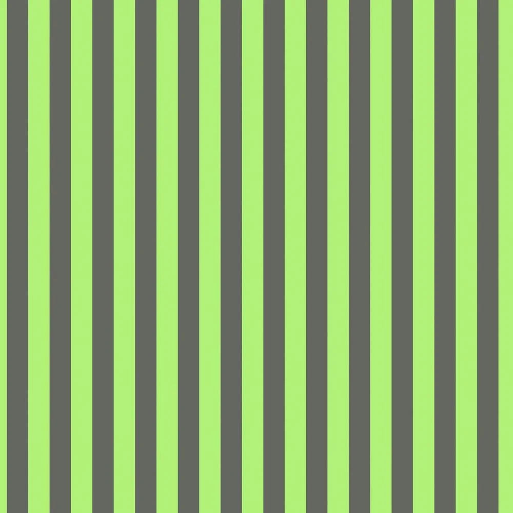Tula Pink Neon True Colors Tented Stripes - Karma 1/2 yd