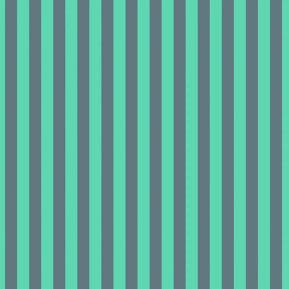 Tula Pink Neon True Colors Tented Stripes - Spirit 1/2 yd