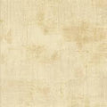 Grunge – Marble 1/2 Yard